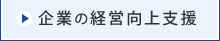 企業の経営向上支援